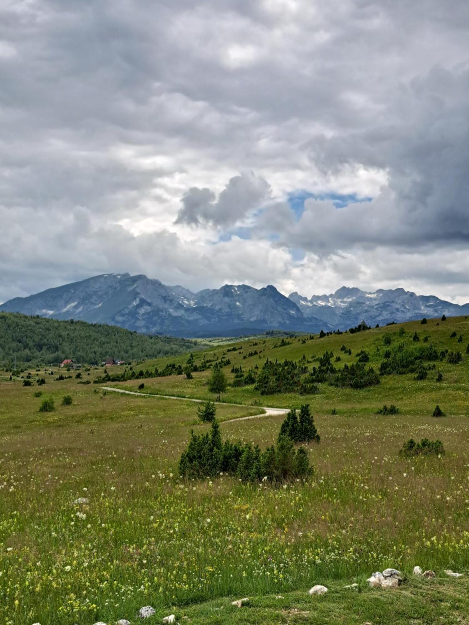 Вилла Mountain Soul Rest Жабляк Экстерьер фото